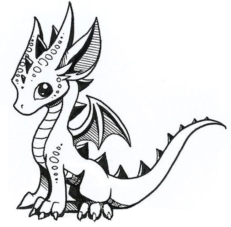 736x722 Image Result For Drawing Dragons Dragens Dragons
