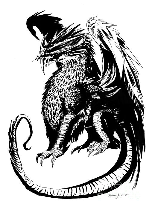 508x700 Dragon Pen And Ink Drawing Cristina Jaco On Faa