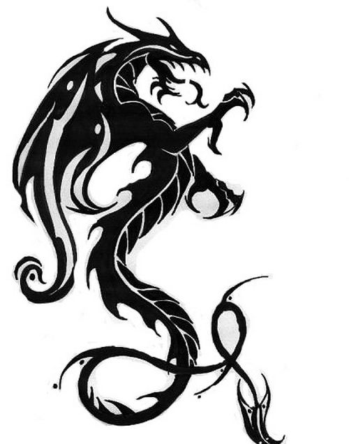 500x636 21 Best Cool Dragon Tattoo Drawings Images On Dragon