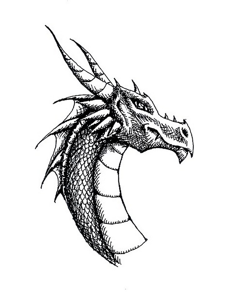 787x955 Ink Dragon 3 By H Brid
