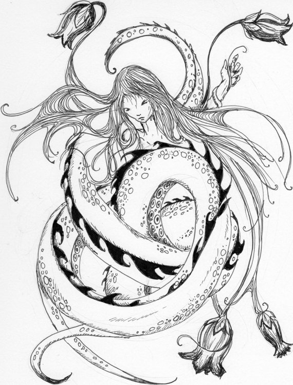 570x749 Original Pen And Ink Drawing 9 X 12 Gothic Belladonna'S