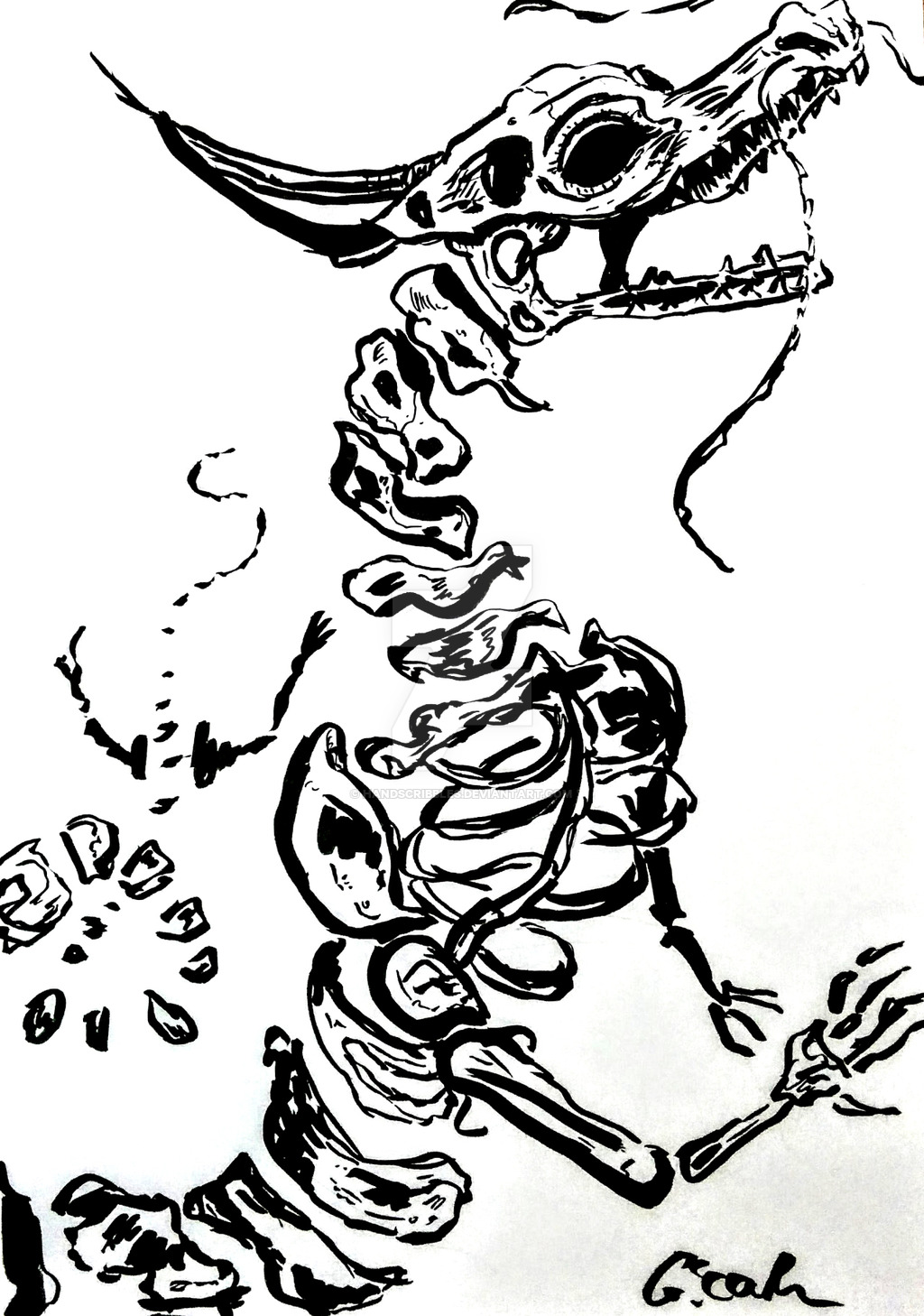 1024x1458 Skeleton Dragon Ink Illustration By Handscribbles