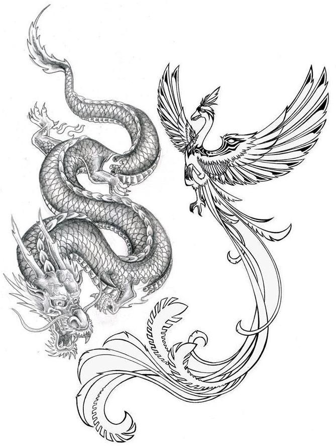 669x886 Amazing Grey Ink Phoenix Amp Dragon Tattoo Design