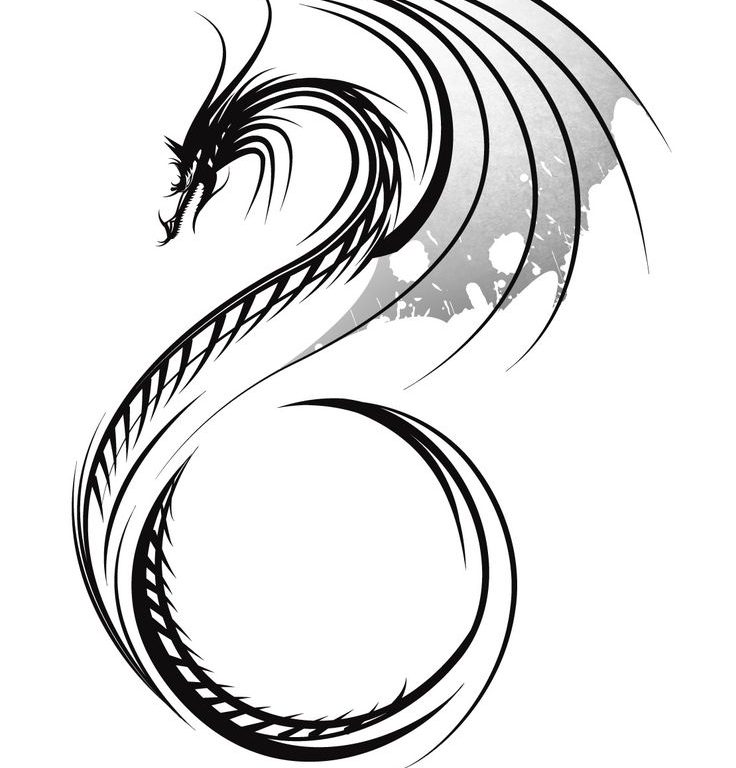 736x768 Download Dragon Tattoo Drawing