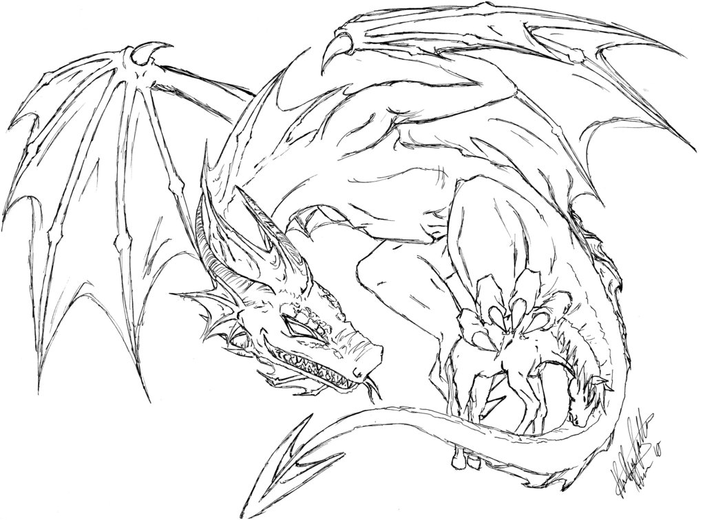 1024x756 Dragon Line Sketch 1 By A1ucards4nge1