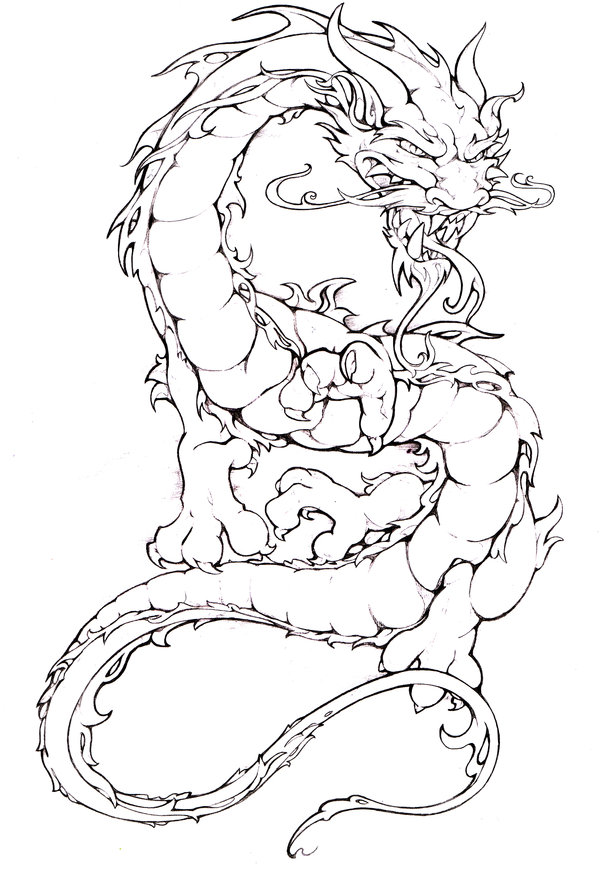 600x872 Dragon Drawing By Pallat