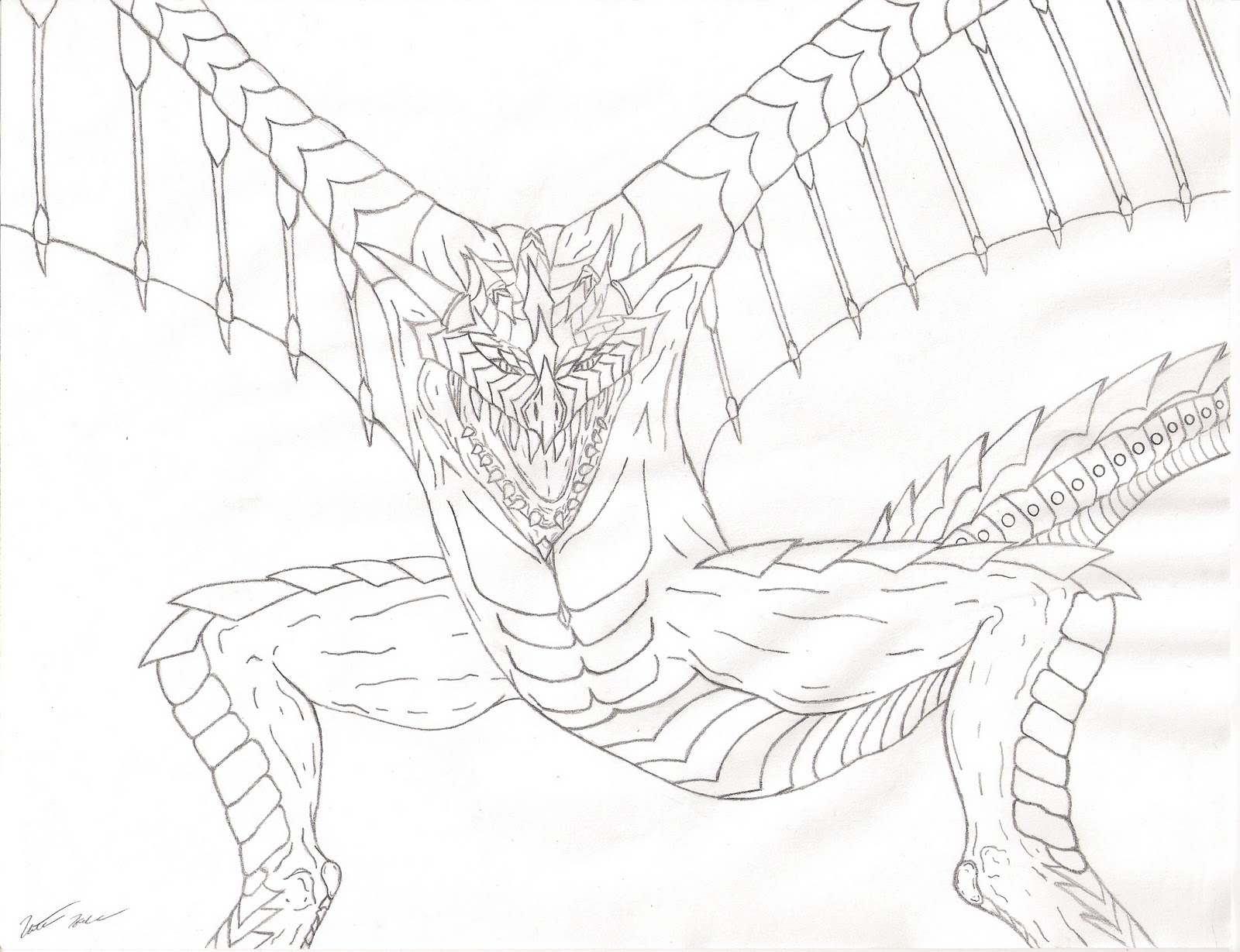 1600x1229 Nathan's Art Dragon Outline