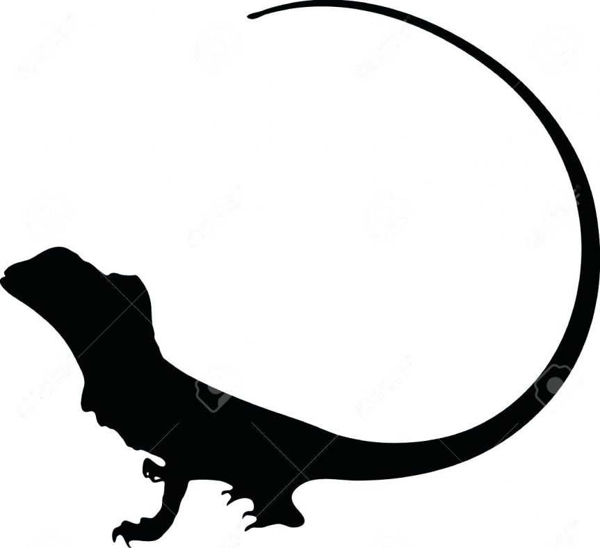 863x788 Vector Graphic Outline Of A Frilled Dragon Stock Koi Fish Drawing