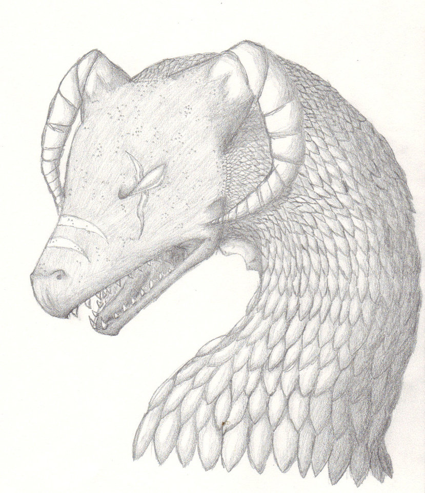 829x963 Dragon Head Pencil Sketch 7 By Corishadowfang