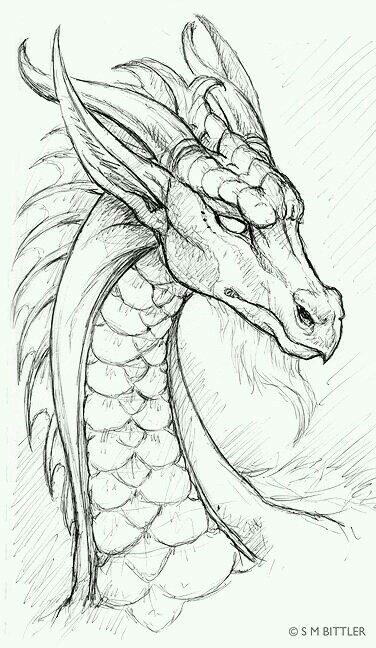 376x648 Dragon Pencil Drawing Art Dragons, Drawings