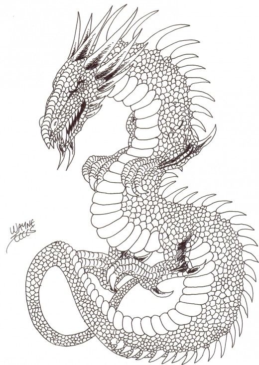 520x733 Drawn Dragon Serpent Dragon