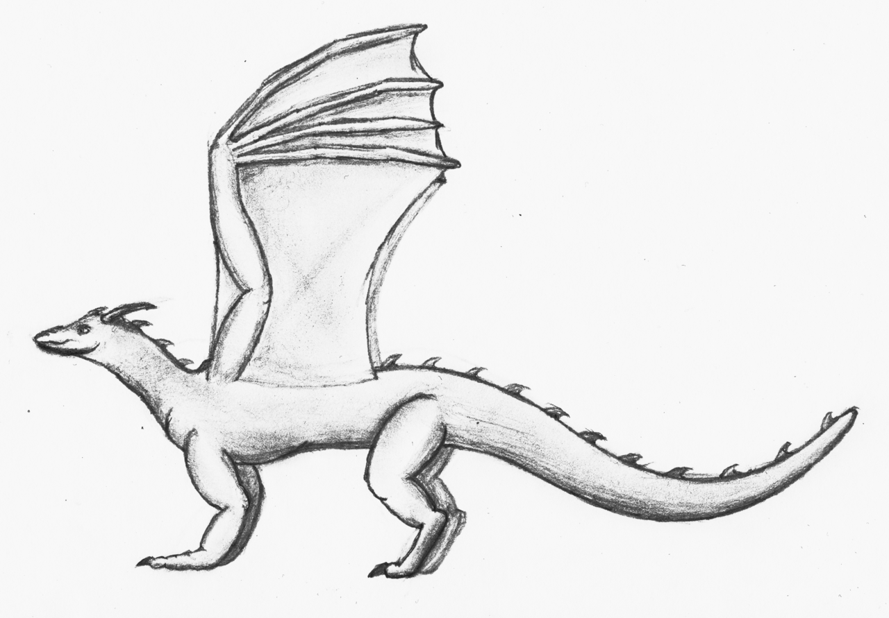 1280x891 Dragon Concept Art, Pencil Drawing By Theunknownety