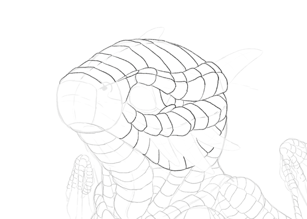 600x428 Dragon In A Snow Globe How To Draw A Baby Dragon