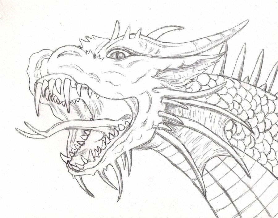 Dragon Scales Drawing at GetDrawings | Free download