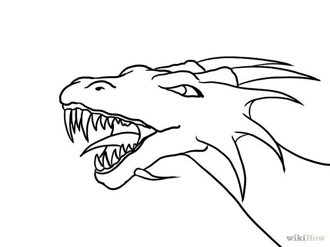 670x503 Drawn Water Dragon Simple