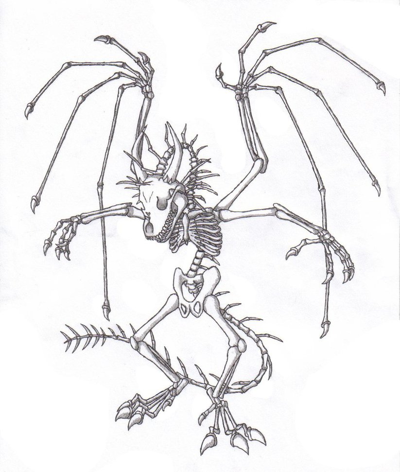 823x971 Dragon Skeleton By Crazie Foxx