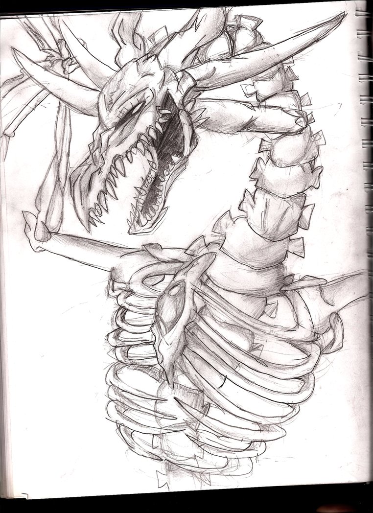 762x1048 Skeleton Dragon By Lifelessfreak