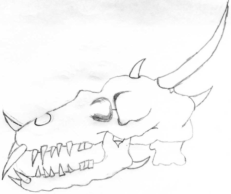 900x756 Dragon Skull Side X By Animallovergemgem