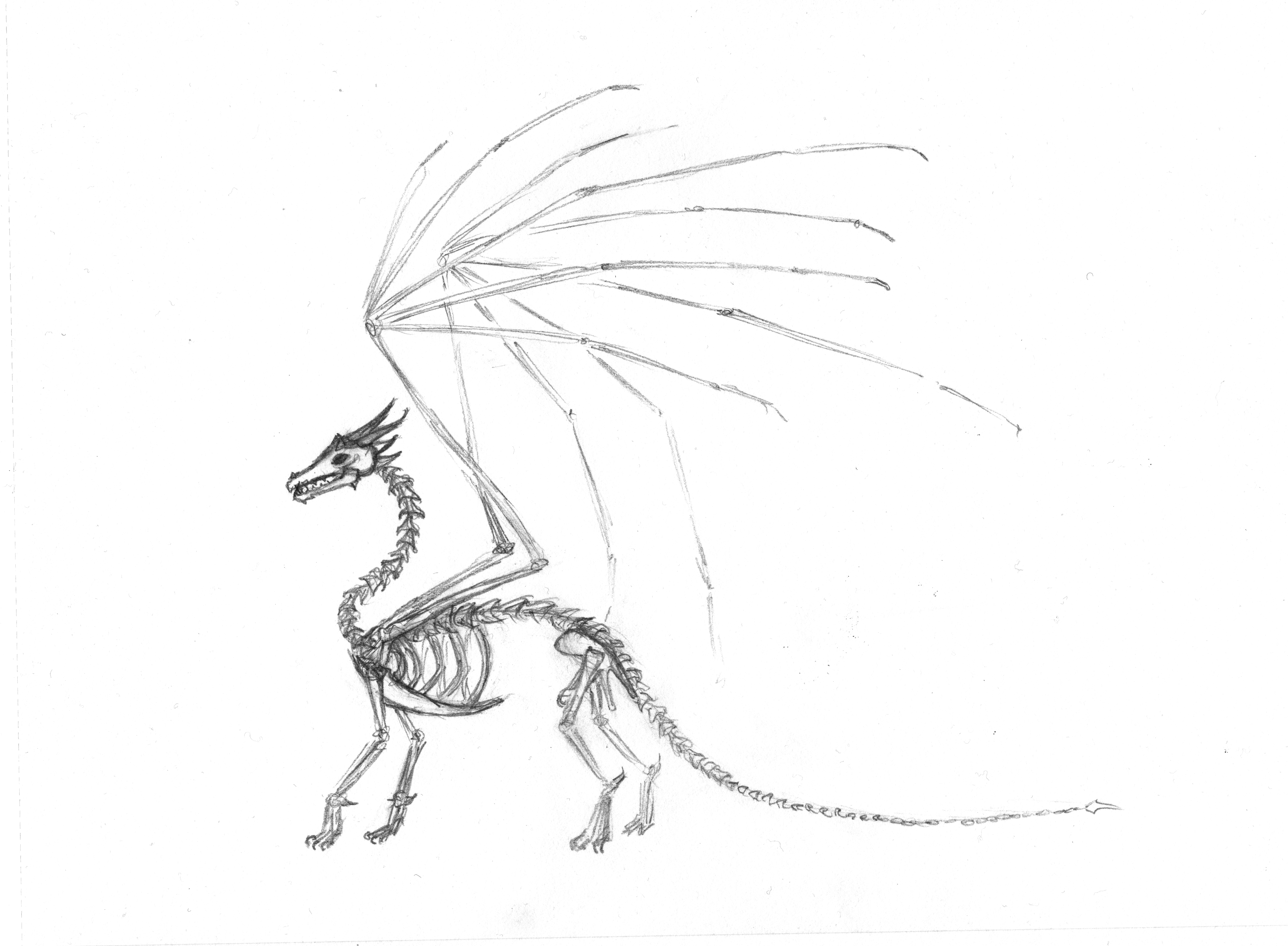 6736x4944 Don'T Know What To Draw, Draw A Dragon Anna Podlipentseva