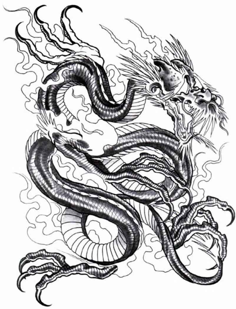 Dragon Tattoo Drawing at GetDrawings | Free download