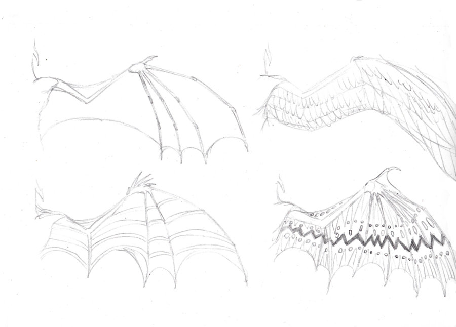 900x646 Dragon Wings