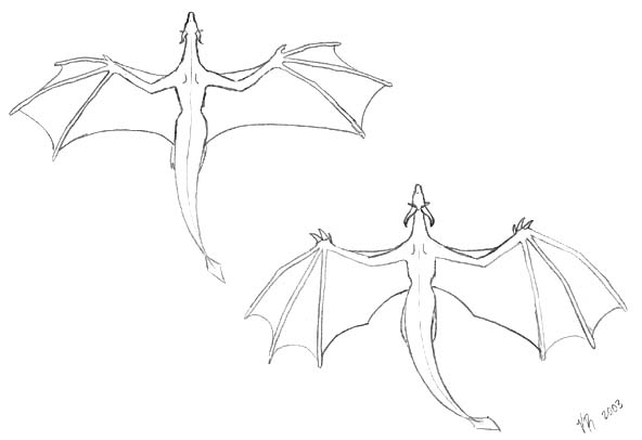 592x406 Dragon Wings 2 By Veroramos