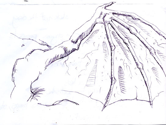 543x408 Dragonwing Sketch Just A Sketch Of A Dragon's Wing I Did