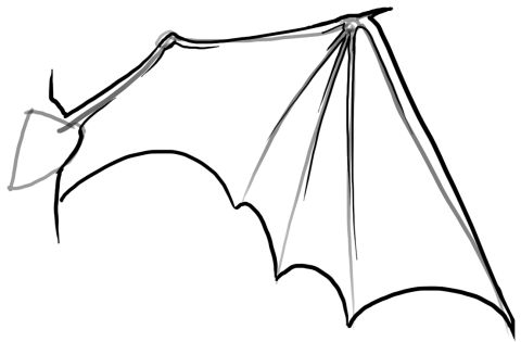 480x315 Wings Costume