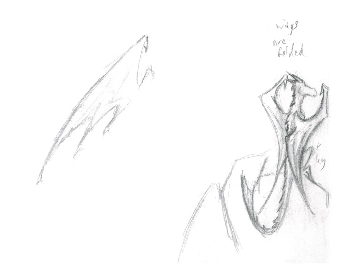 1200x889 Dragon wing Aaron Gross