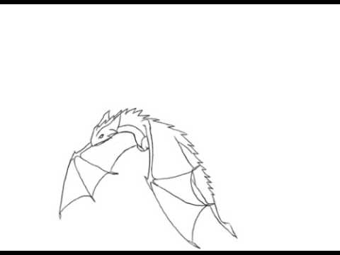 480x360 Baby Dragon Animation
