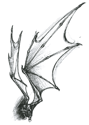 Dragon Wings Drawing at GetDrawings | Free download