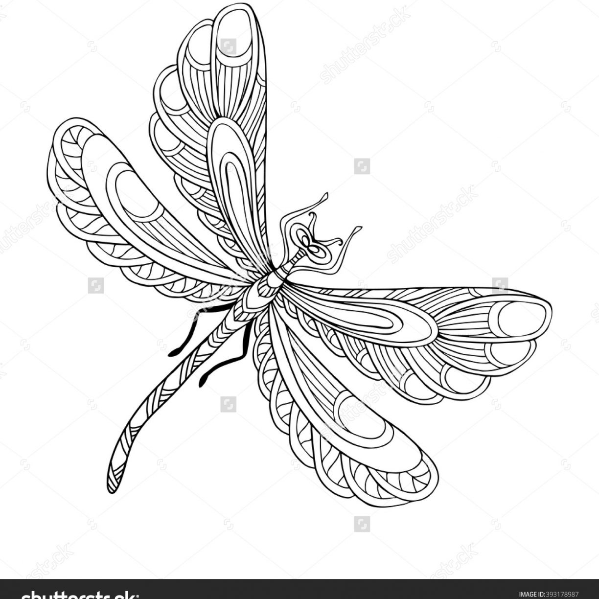 1224x1224 Dragonfly Coloring Pages For Kids Free To Print Fantastic Animals