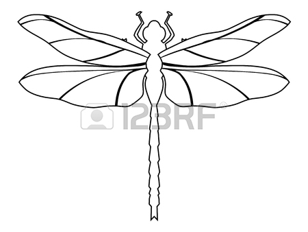 450x338 Dragonfly Stock Photos. Royalty Free Business Images