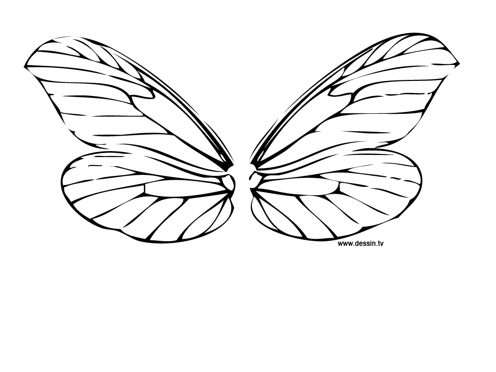 1024x768 Drawn Dragonfly Dragonfly Wings