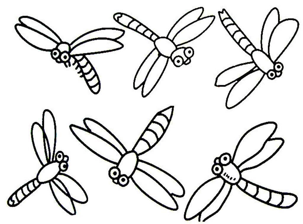 1024x758 Unique Dragonfly Coloring Pages Cool Ideas