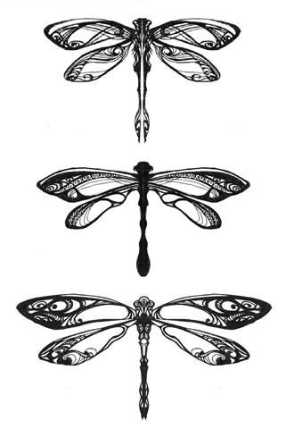 321x480 Detailed And Pretty Dragonflies! These Would Be Beautiful