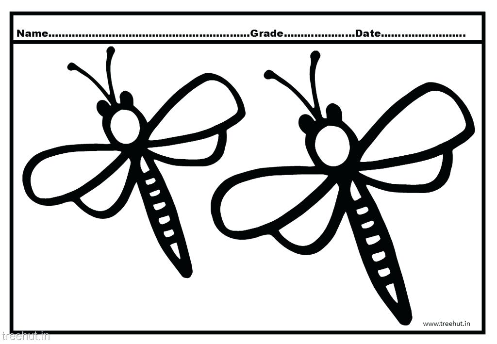 1024x709 Dragonfly Coloring Pictures Dragonfly Coloring Page Preschool