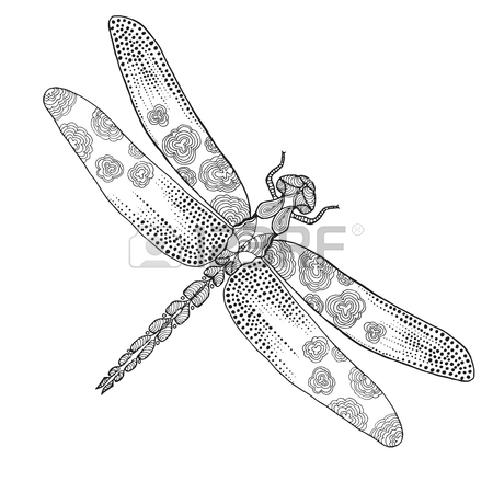 450x450 Dragonfly Sketch Stock Photos. Royalty Free Business Images