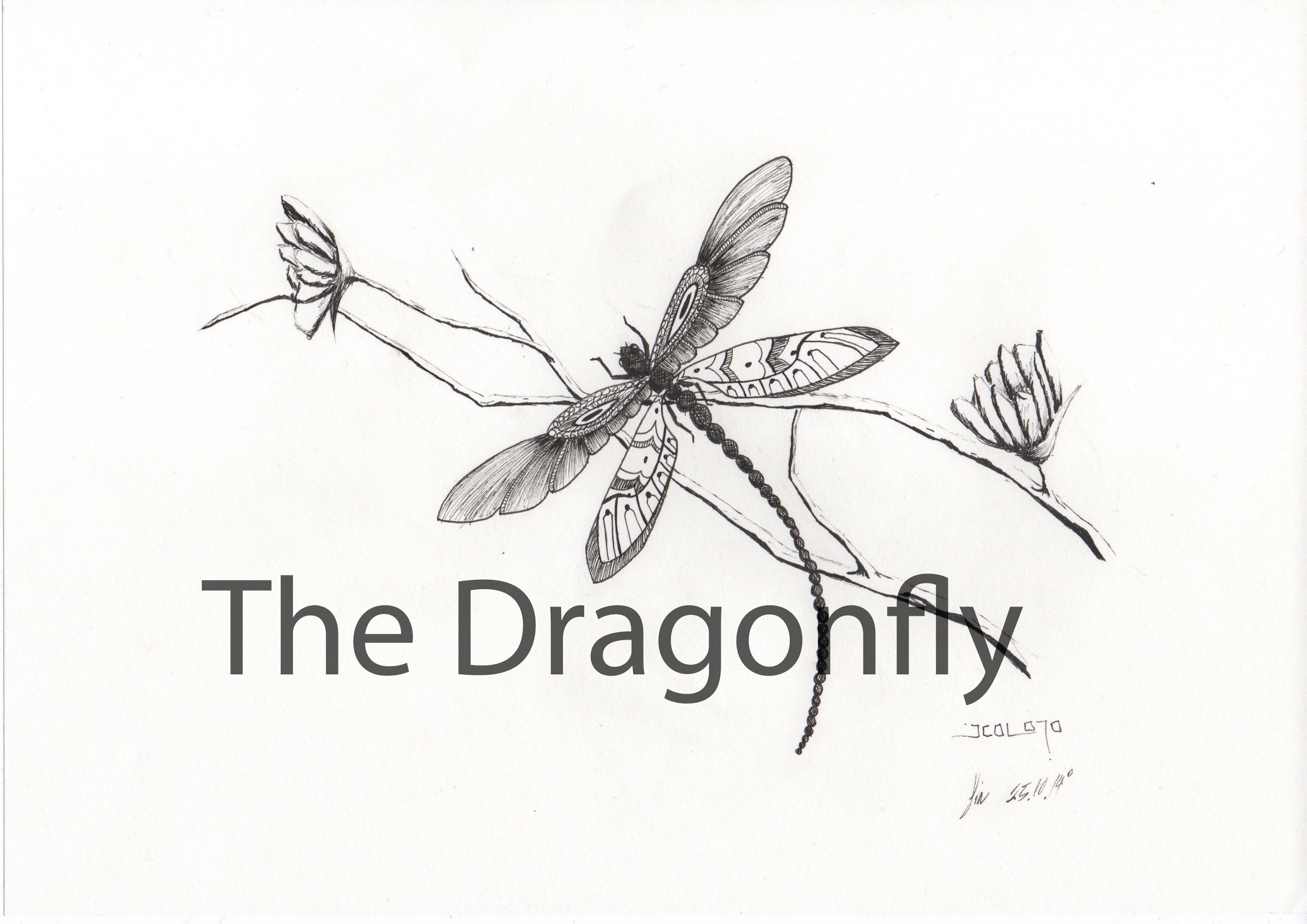 3000x2121 Dragonfly. Drawing 11
