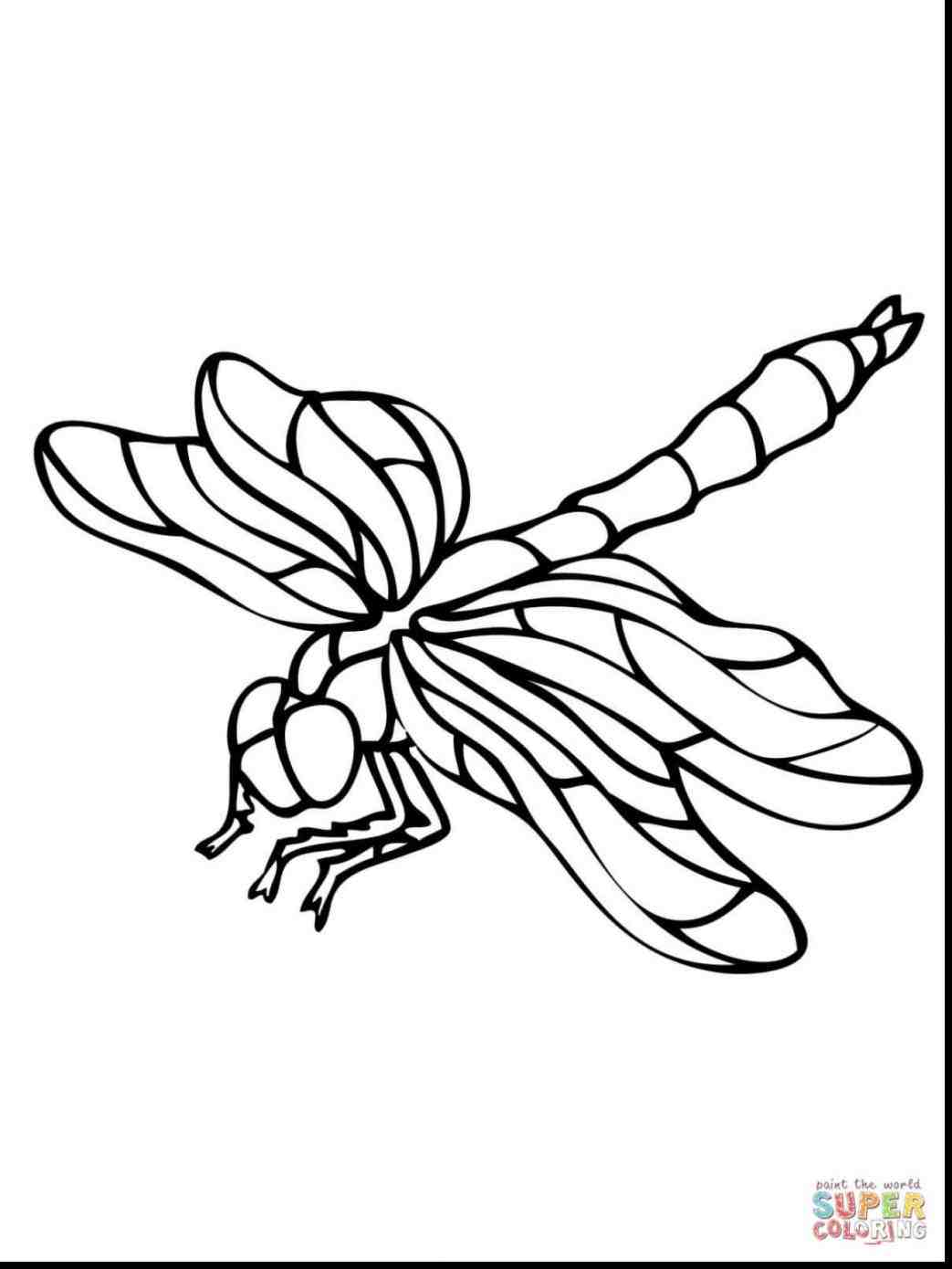 1043x1390 Dragonfly Drawing For Kids