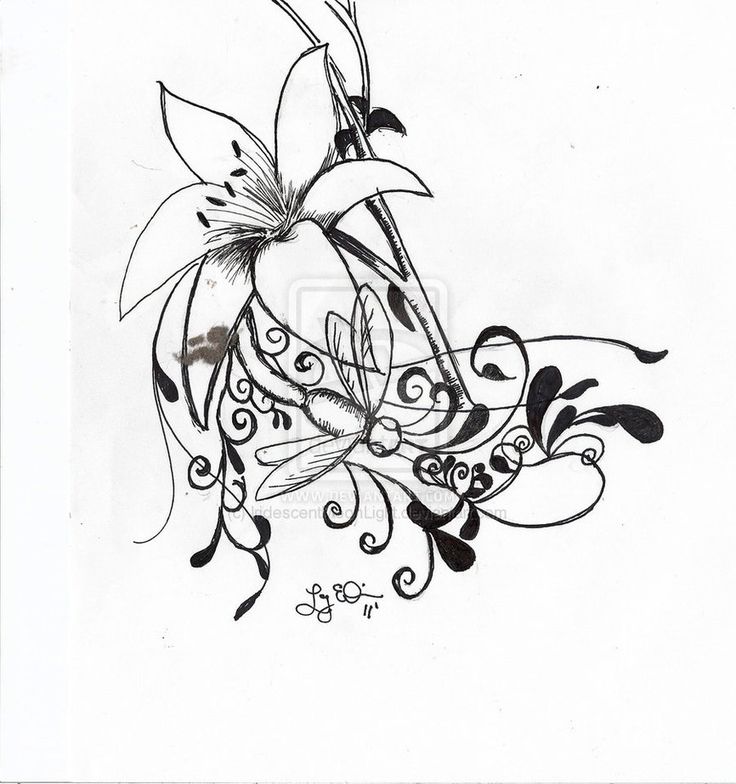 736x784 Collection Of Lotus N Dragonfly Tattoo Drawing