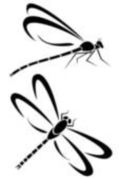 402x600 Dragonfly Clipart Simple