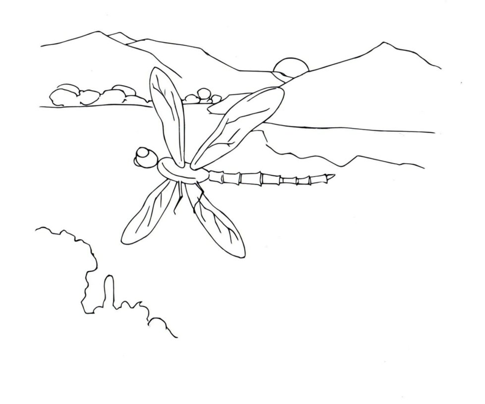 979x816 Dragonfly Drawing By Electronicdave