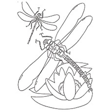 230x230 Top 10 Dragonfly Coloring Pages For Toddlers
