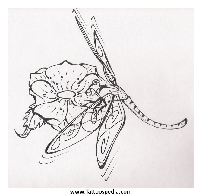 670x650 Dragonfly Tattoo Drawing 5 Dragonfly Tattoo Drawing 5 Rose