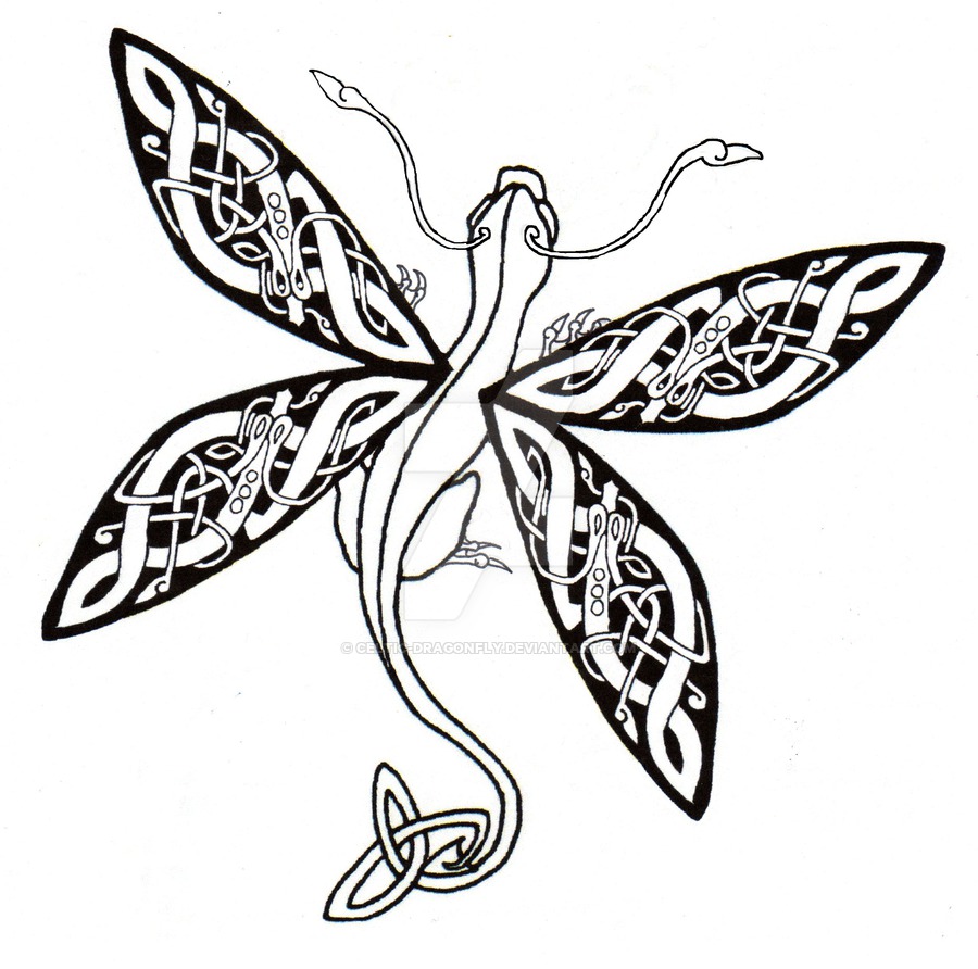 900x892 Drawn Dragonfly Celtic