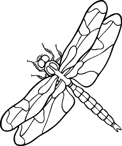 411x492 Dragonfly Clip Art Black And White Danasoka Top