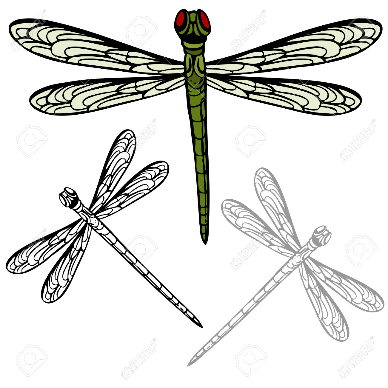 1300x1300 Dragonfly Clipart Realistic