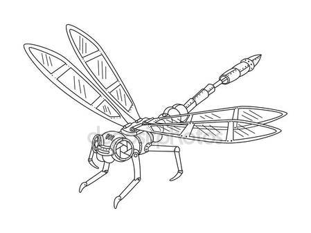 449x337 Dragonfly Color Drawing Vector Illustration Stock Vector