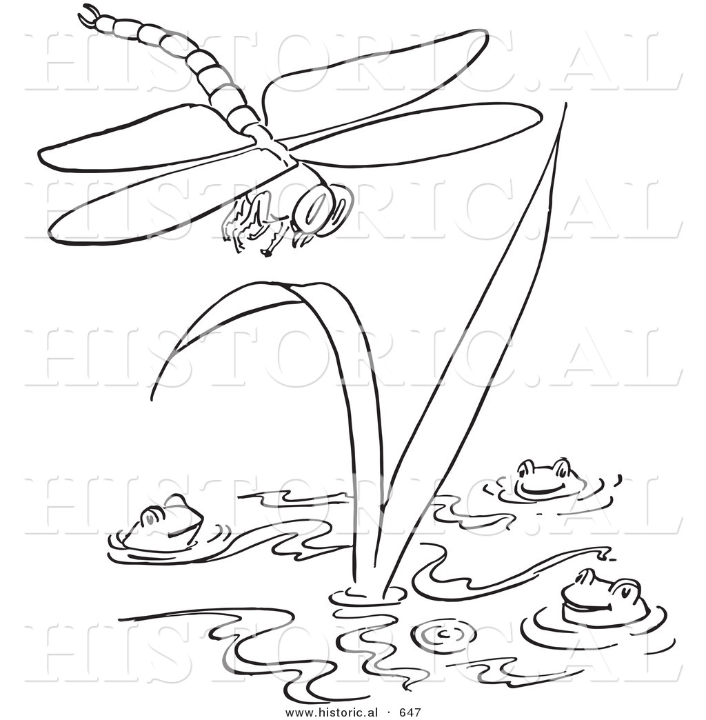 1024x1044 Historical Vector Illustration Of A Dragonfly Flying Over Happy